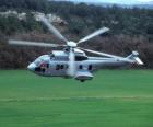 Great Cougar EC725 helicopter