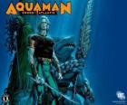 Aquaman was one of the founding members of the team Justice League of America or JLA