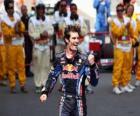 Mark Webber celebrated his victory at Circuit de Catalunya, Spain Grand Prix (2010)