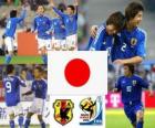 Selection of Japan, Group E, South Africa 2010