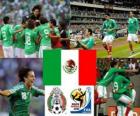 Selection of Mexico, Group A, South Africa 2010