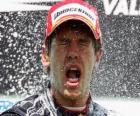 Sebastian Vettel celebrates his victory in Valencia Europe Grand Prix (2010)