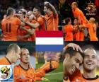 Netherlands South Africa 2010 finalist