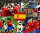 Spain South Africa 2010 finalist