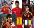 David Silva (art and hint) Spanish National Team Midfielder