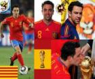 Xavi Hernandez (The baton) Spanish National Team Midfielder