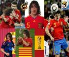 Carles Puyol (The head of Spain) Spanish team defense