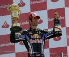 Mark Webber celebrated his victory at Silverstone, Grand Prix of Great Britain (2010)