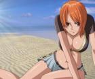 Nami is the navigator of the pirates's ship 