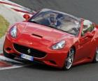 Felipe Massa driving a Ferrari California - Hungaroring 2010 -