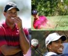 Tiger Woods is an American golfer.