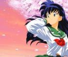 Kagome Higurashi is the reincarnation of the priestess Kikyo