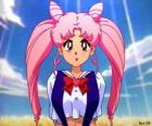 Rini or Chibiusa can become Sailor Chibi Moon or Sailor Mini Moon