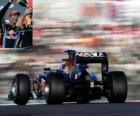 Mark Webber - Red Bull - Suzuka 2010 (2 º Classified)