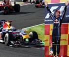 Sebastian Vettel celebrates his victory in the Grand Prix of Japan (2010)