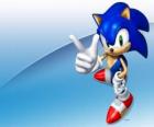 Sonic the Hedgehog, the main protagonist of the Sonic video game series