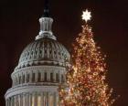 the Capitol Christmas tree