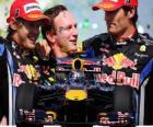 Red Bull F1 constructors' champion 2010