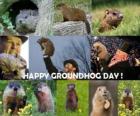 The Groundhog Day