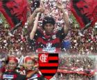 Ronaldinho signed for Flamengo