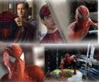 Several images of Spiderman