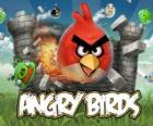 Angry Birds Rovio is a video game. Angry birds attack the pigs who steal eggs