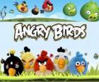 Angry Birds of Rovio. Video Game