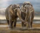 Two large elephants with intertwined trunks
