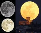 The splendor of the super Moon (March 19, 2011)
