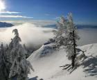 Snowy mountains in Poiana Brasov, Romania