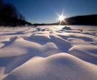 Sinuous shapes in the Eagle Lake Ontario, Canada