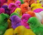 Easter chicks in various colors