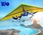 Blu macaw, toucan Rafael Jewel and a hang glider flying over the city of Rio de Janeiro