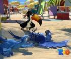 Rio the movie with three of its protagonists: the macaws Blu, Jewel and the tucan Rafael at the beach