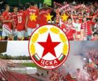 CSKA Sofia, the Bulgarian football team