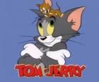 Tom and Jerry are the main protagonists of funny adventures
