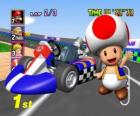 Toad with a kart. Toad is a citizen of the Mushroom Kingdom and loyal servant of Princess Peach