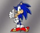 Sonic the Hedgehog, the main protagonist of the Sonic videogames from Sega
