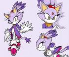 Blaze the Cat, a princess and one of the Sonic friends