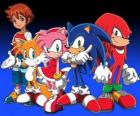 Sonic and other characters from the Sonic's videogames