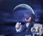 Sonic the Werehog, the latest Sonic transformation, by night it transforms into a wolf hedgehog