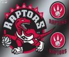 Toronto Raptors logo, NBA team. Atlantic Division, Eastern Conference