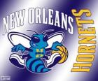 Logo New Orleans Hornets, NBA team. Southwest Division, Western Conference