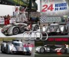 2011 24 Hours of Le Mans Champions Audi R18 TDI