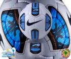 Nike Total 90 Tracer Doma the official ball of the Copa América Argentina 2011