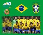 Brazil National Team, Group B, Argentina 2011