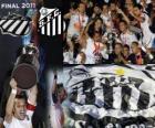 Copa Libertadores 2011 champion Santos FC