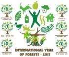 2011 International Year of Forests