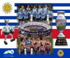 Uruguay vs Paraguay. Final Copa America Argentina 2011. July 24, Stadium Monumental, Buenos Aires