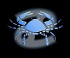 Cancer. The Crab. Fourth sign of the zodiac. The Latin name is Cancer